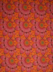  BW-Jersey Blumen retro orange/pink
