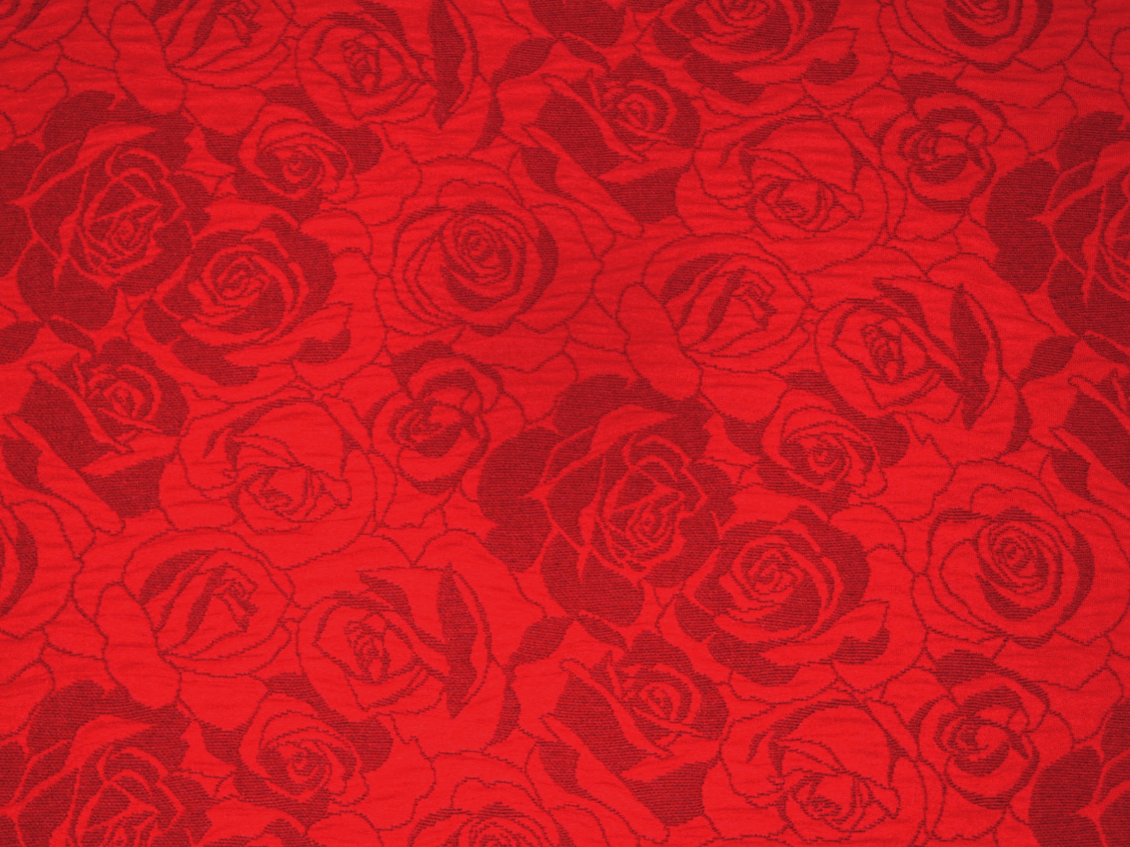 Rosen rot-grau 